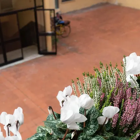 Beauty Intimate, Quiet And Apartmán